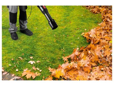 Imagem do produto - 5