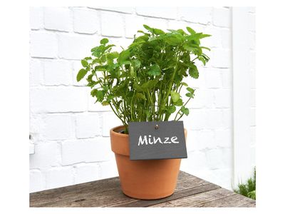 Εικόνα προϊόντος - 15