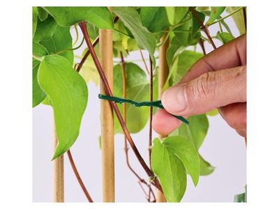 Imagen del producto - 1