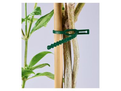 Imagen del producto - 10