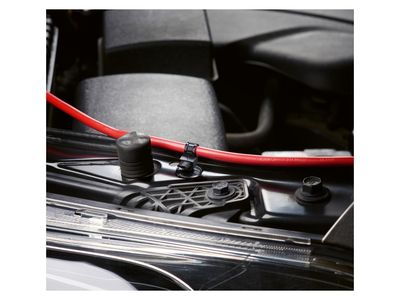 Imagen del producto - 10