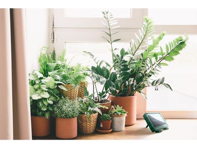 Imagem do produto - 13