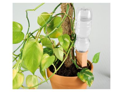 Imagen del producto - 1