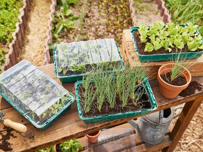 Image du produit - 1