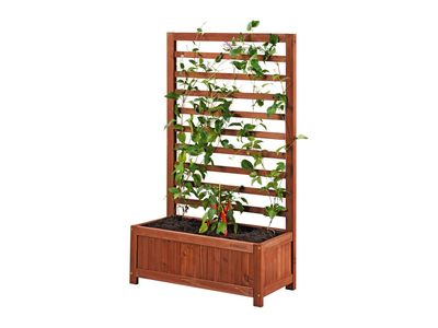 Image du produit - 2