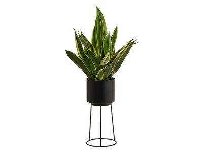 Product image - 5