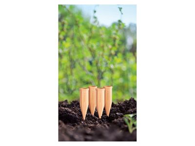 Image du produit - 2