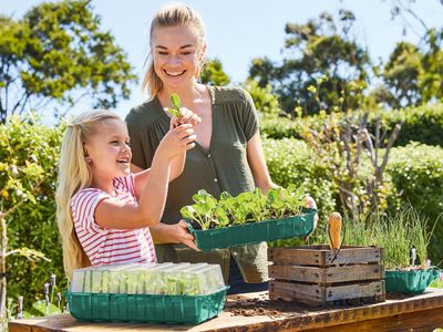 Image du produit - 5