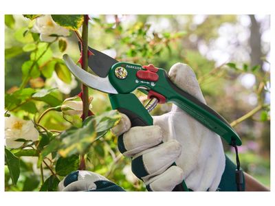 Immagine prodotto - 4