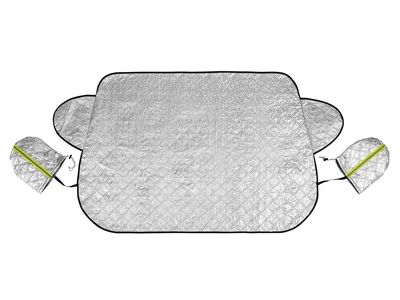 Windshield film