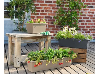 Immagine prodotto - 7