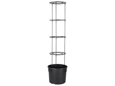 Imagem do produto - 5