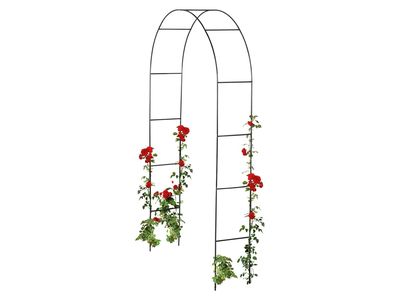 Immagine prodotto - 2