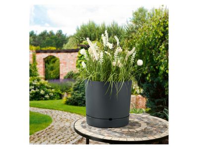 Product image - 7