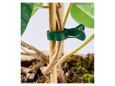 Imagen del producto - 9