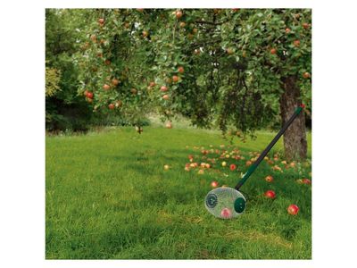 Product image - 8