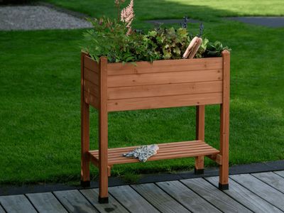 Immagine prodotto - 1