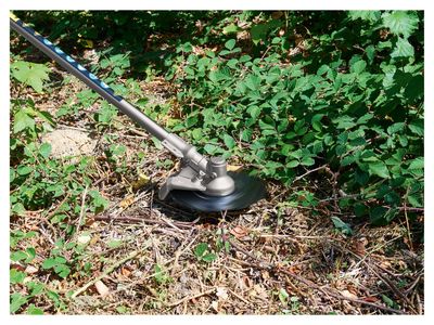 Immagine prodotto - 7