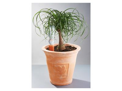 Image du produit - 7