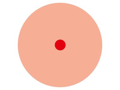 Imagen del producto - 10