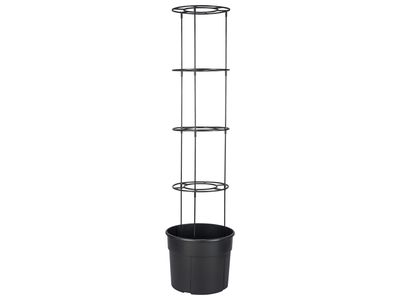 Tomato planter pot