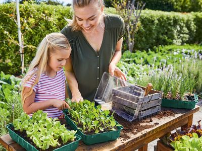 Image du produit - 6