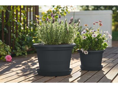 Imagem do produto - 5