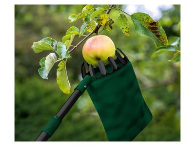 Product image - 2