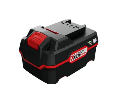 X20V 4 Ah battery