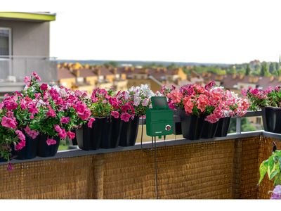 Imagem do produto - 14