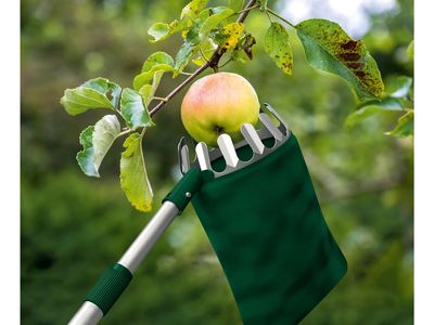 Telescopic fruit picker