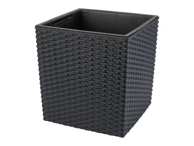 Plant pot