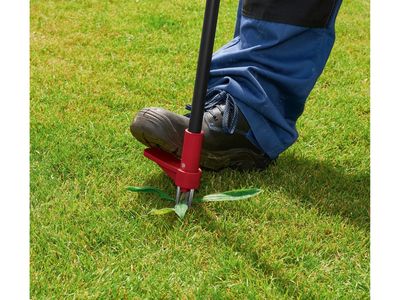 Immagine prodotto - 1