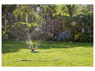 Imagen del producto - 4