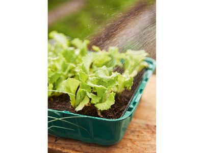 Image du produit - 7