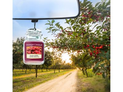 Immagine prodotto - 4