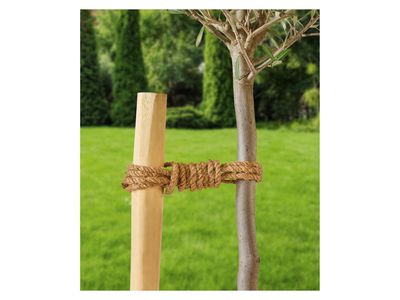 Imagem do produto - 1