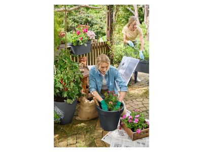 Imagem do produto - 6